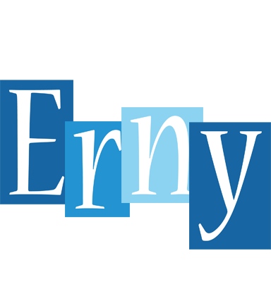 Erny winter logo