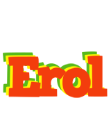 Erol bbq logo