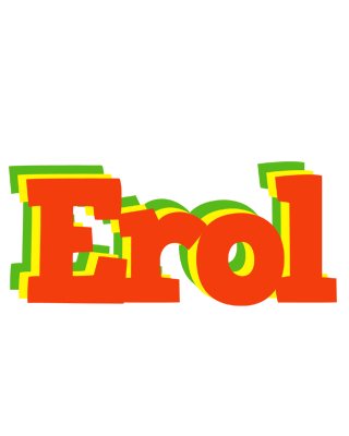 Erol bbq logo