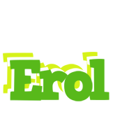 Erol picnic logo