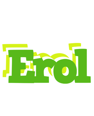 Erol picnic logo