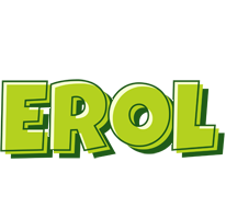 Erol summer logo