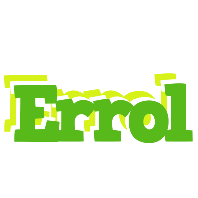 Errol picnic logo