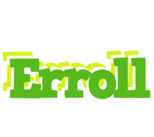 Erroll picnic logo