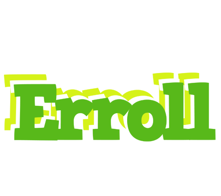 Erroll picnic logo