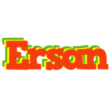 Ersan bbq logo