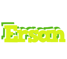 Ersan citrus logo