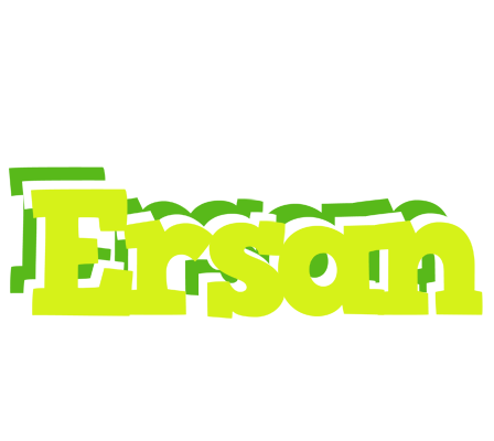 Ersan citrus logo