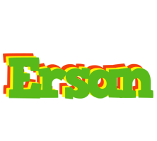 Ersan crocodile logo