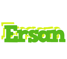 Ersan picnic logo