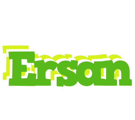 Ersan picnic logo