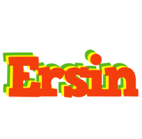 Ersin bbq logo