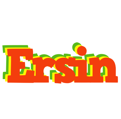 Ersin bbq logo