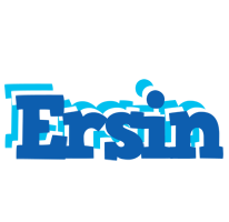 Ersin business logo