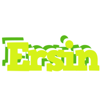 Ersin citrus logo