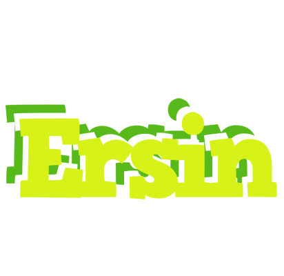 Ersin citrus logo