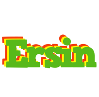 Ersin crocodile logo