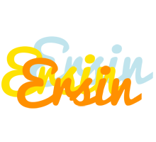 Ersin energy logo