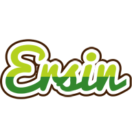 Ersin golfing logo