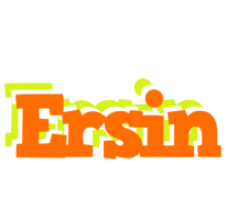 Ersin healthy logo