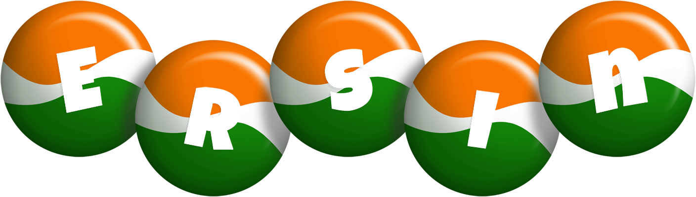 Ersin india logo
