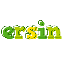 Ersin juice logo