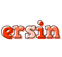 Ersin paint logo