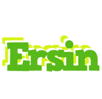 Ersin picnic logo