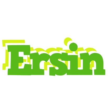Ersin picnic logo