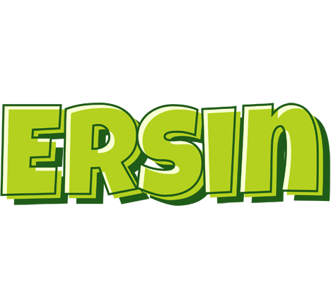 Ersin summer logo