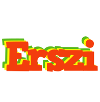 Erszi bbq logo