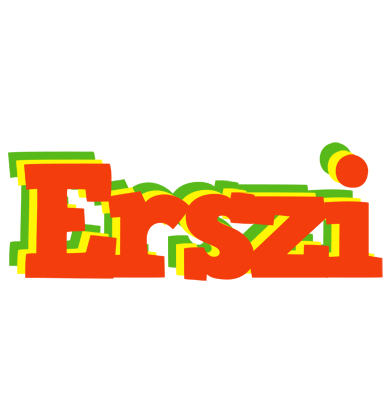 Erszi bbq logo