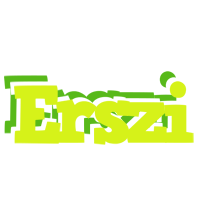 Erszi citrus logo