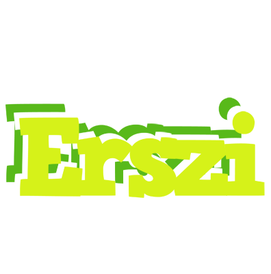 Erszi citrus logo