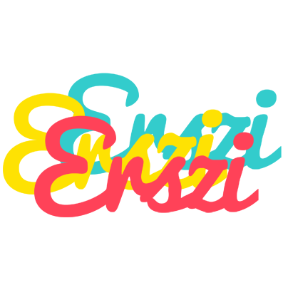 Erszi disco logo