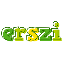 Erszi juice logo