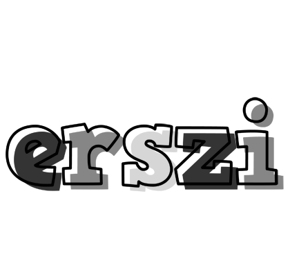 Erszi night logo