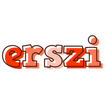 Erszi paint logo