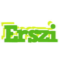 Erszi picnic logo