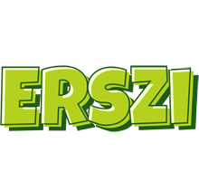 Erszi summer logo