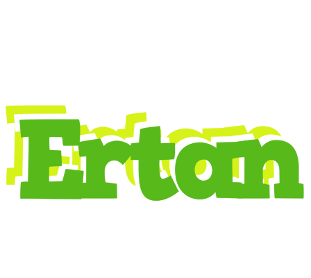 Ertan picnic logo