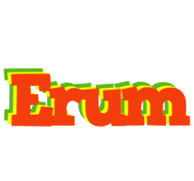 Erum bbq logo