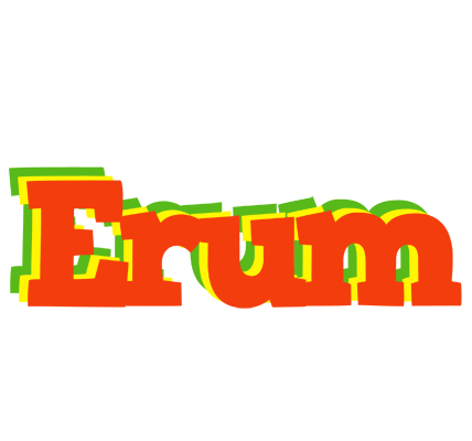 Erum bbq logo