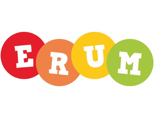 Erum boogie logo