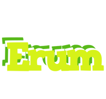 Erum citrus logo