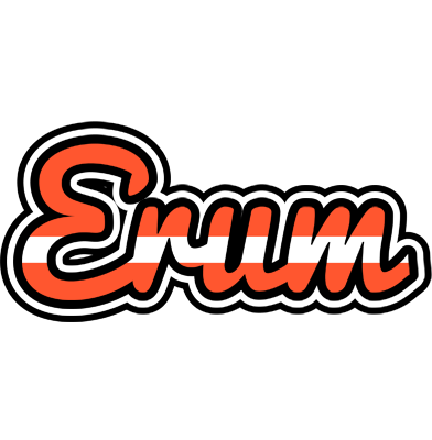 Erum denmark logo