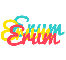 Erum disco logo