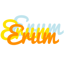 Erum energy logo