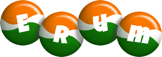 Erum india logo