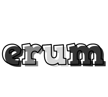 Erum night logo